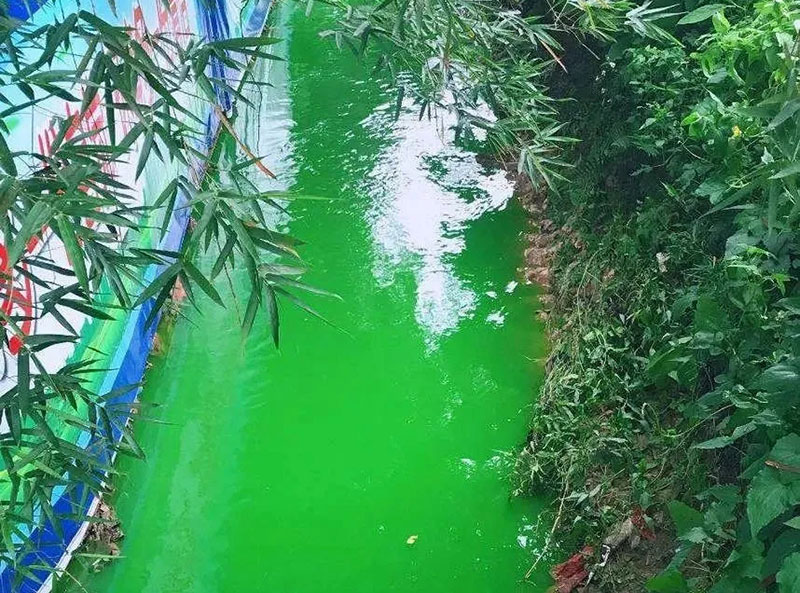 触目惊心！水全都“染绿”了！多家企业被查处！