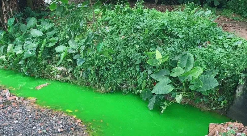触目惊心！水全都“染绿”了！多家企业被查处！
