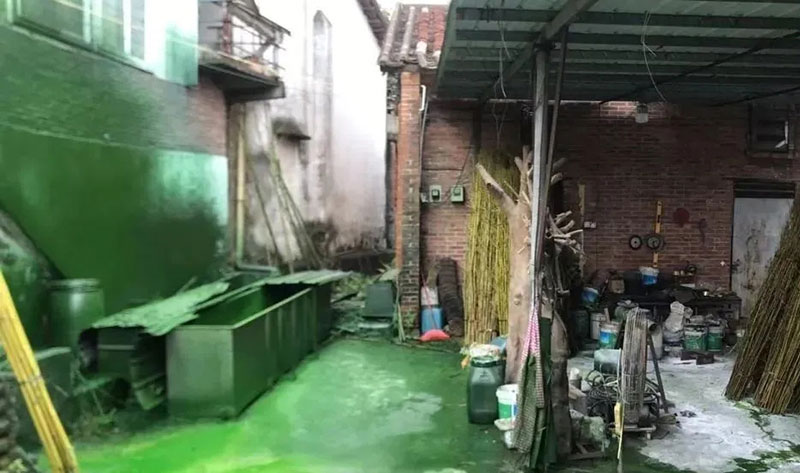 触目惊心！水全都“染绿”了！多家企业被查处！