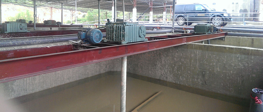 茄子污视频在线观看脱水前如何进行加药调理